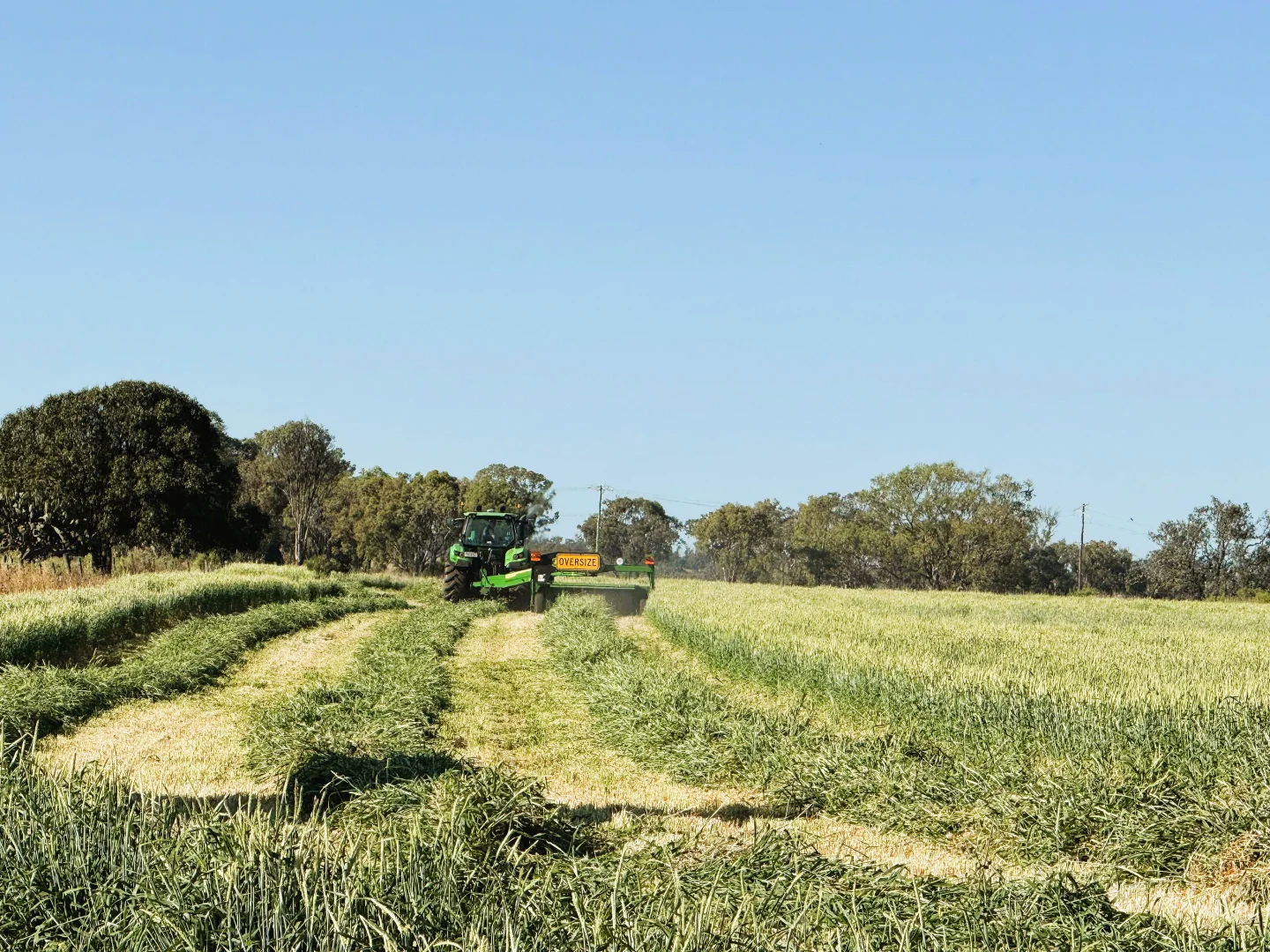 Additional image 40 of 'The Overflow' 102 Crighton Road, Biddeston QLD 4401