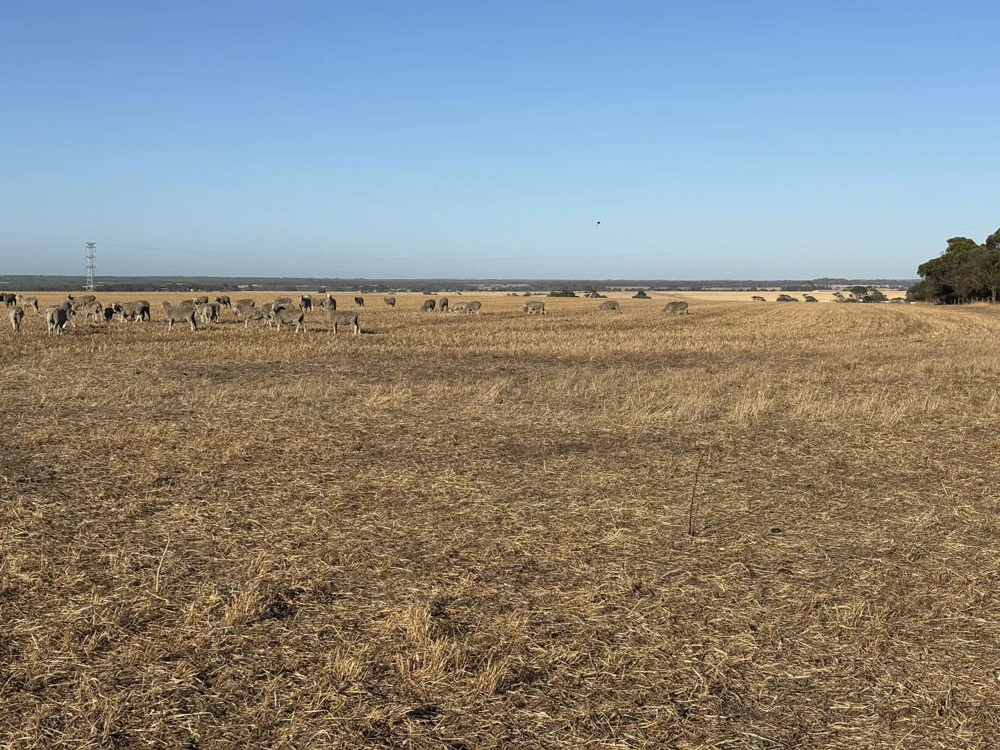 Additional image 36 of 7 Hidden Valley Lane, Boston SA 5607