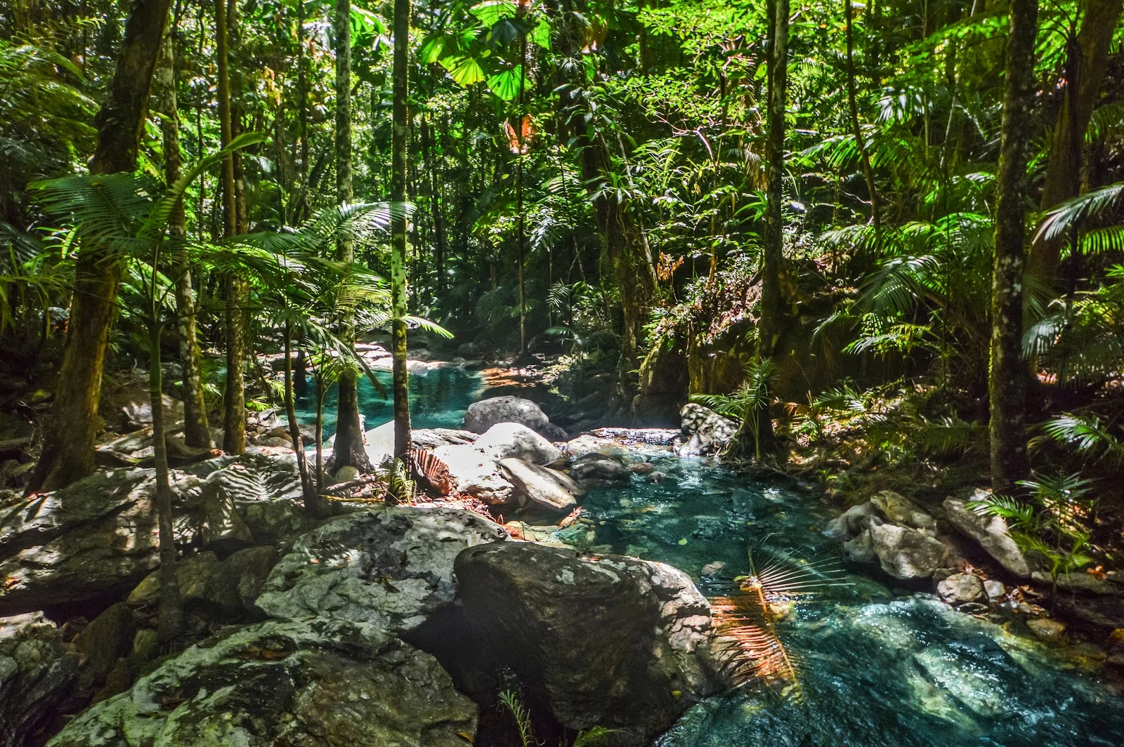 51 Waterfall Place, Jubilee Heights QLD 4860