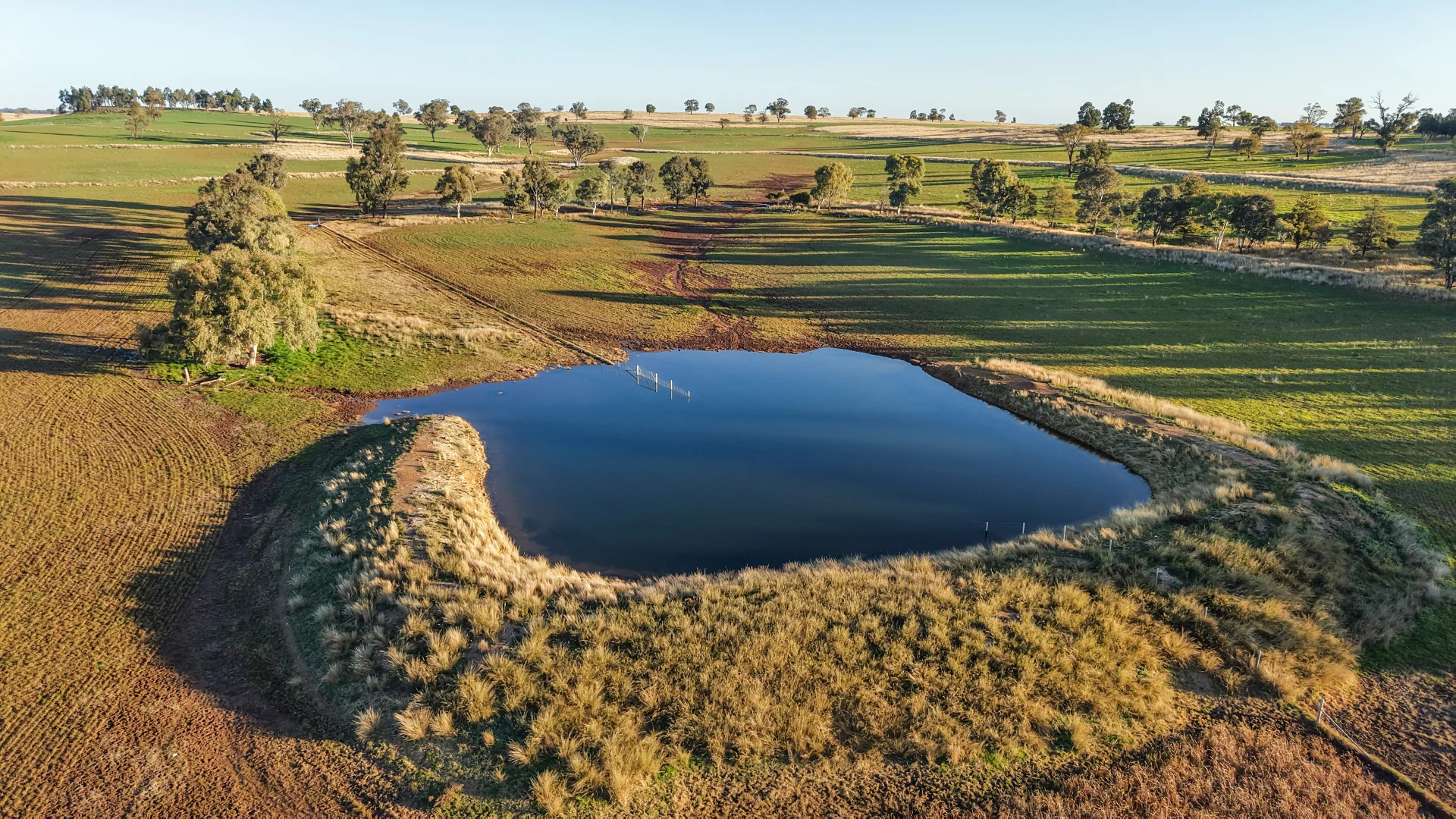 Additional image 12 of 38 Tallawonga Road, Elong Elong NSW 2831