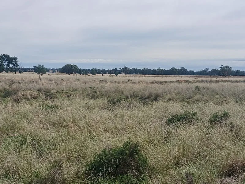 Additional image 28 of Tooraweenah NSW 2817