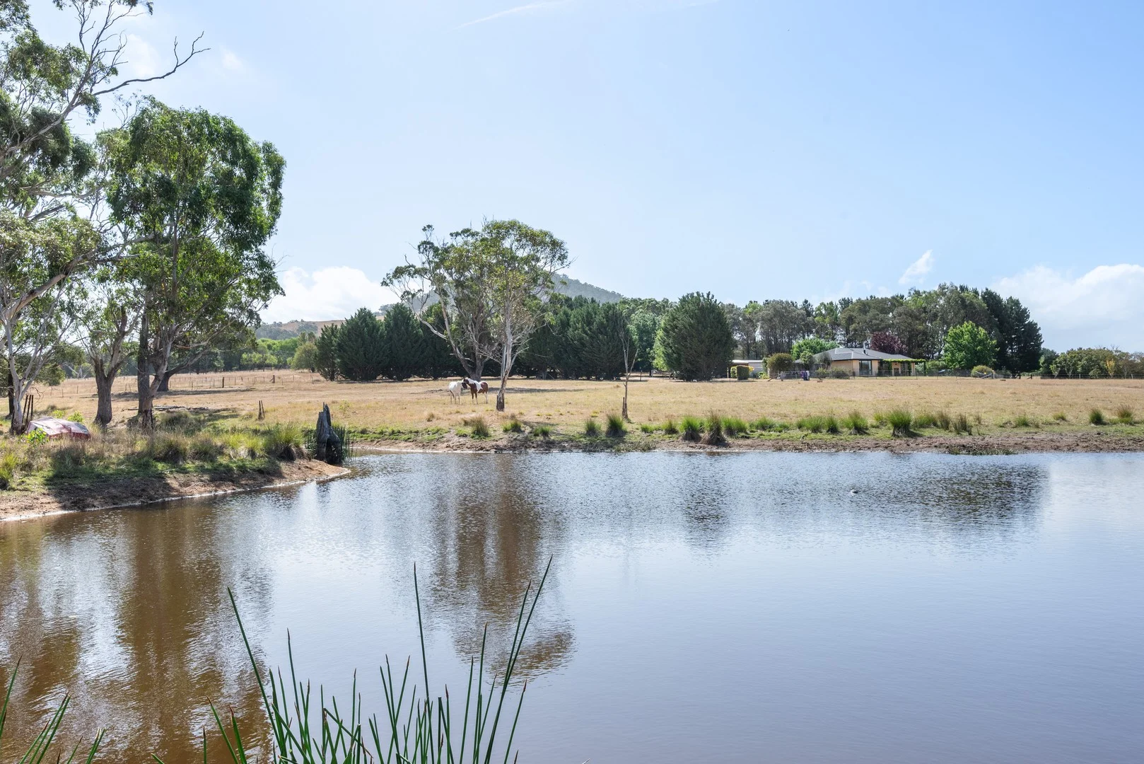Additional image 19 of 12 Cooma Road, Braidwood NSW 2622
