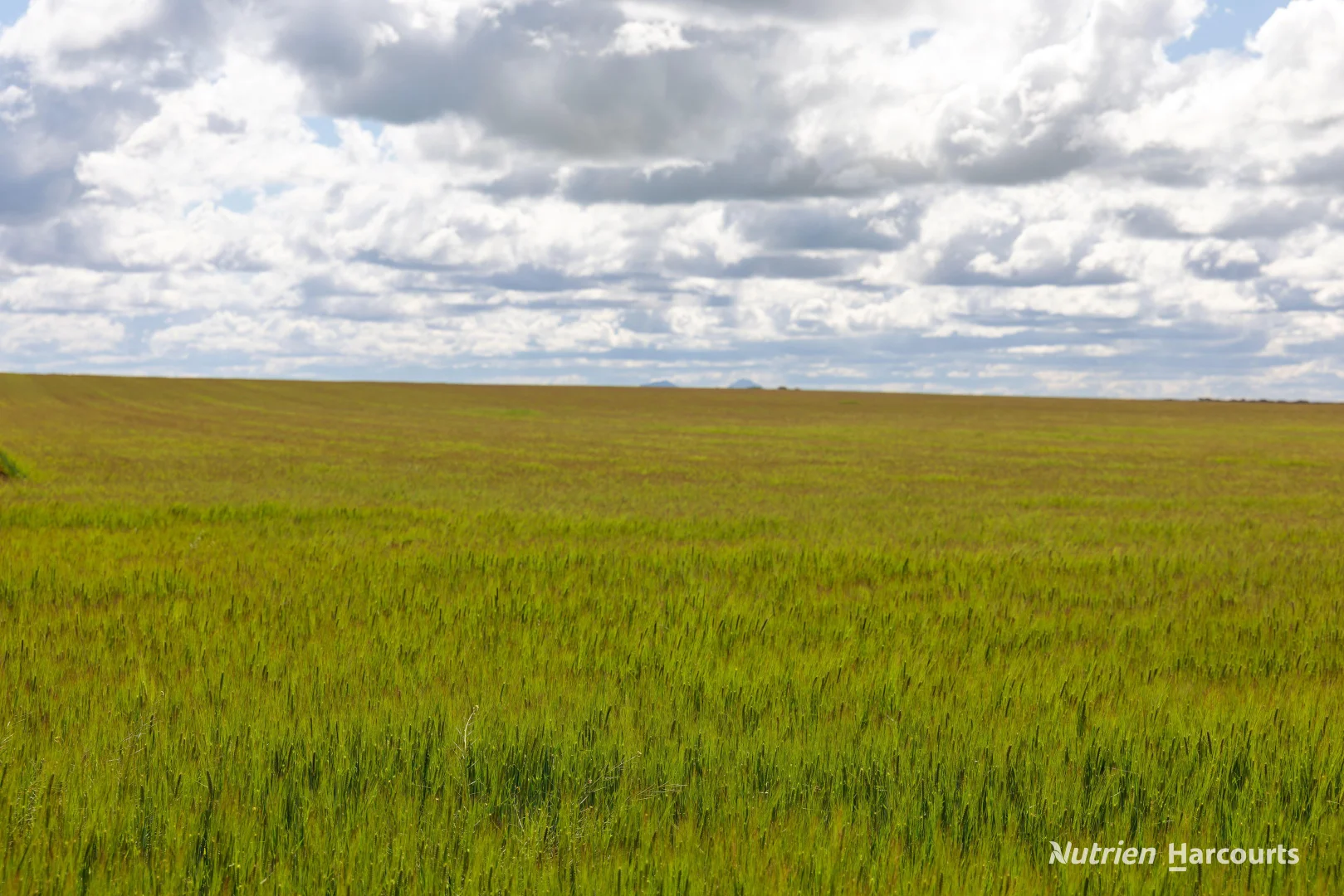 Additional image 11 of . Rollond Road, Cascade WA 6450