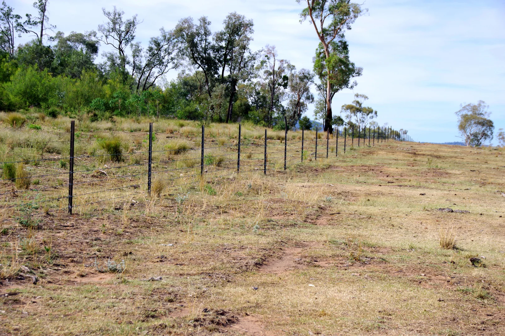 Additional image 45 of 2381. Killarney Gap Road, Narrabri NSW 2390