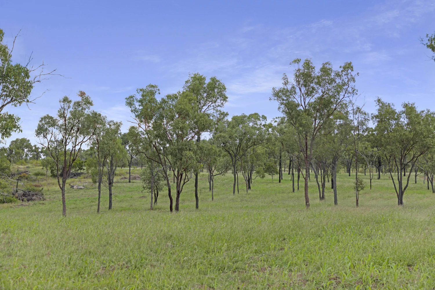 Additional image 12 of 124 Lee Farm Road, Bushley QLD 4702