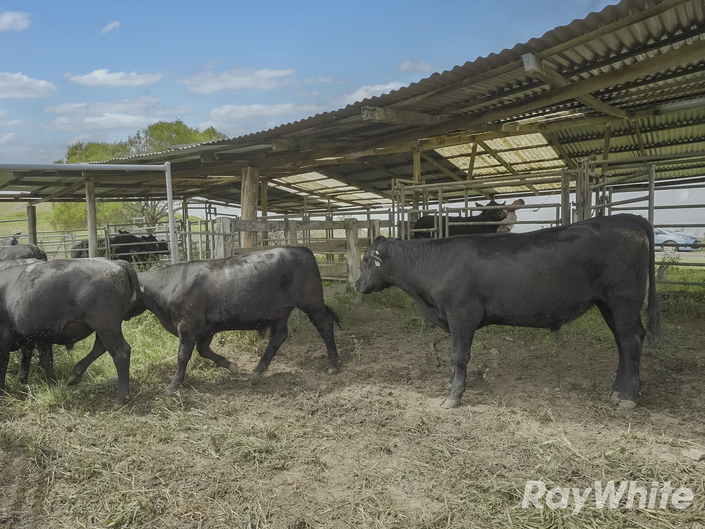 Additional image 14 of 345 Markwell Back Road, Bulahdelah NSW 2423