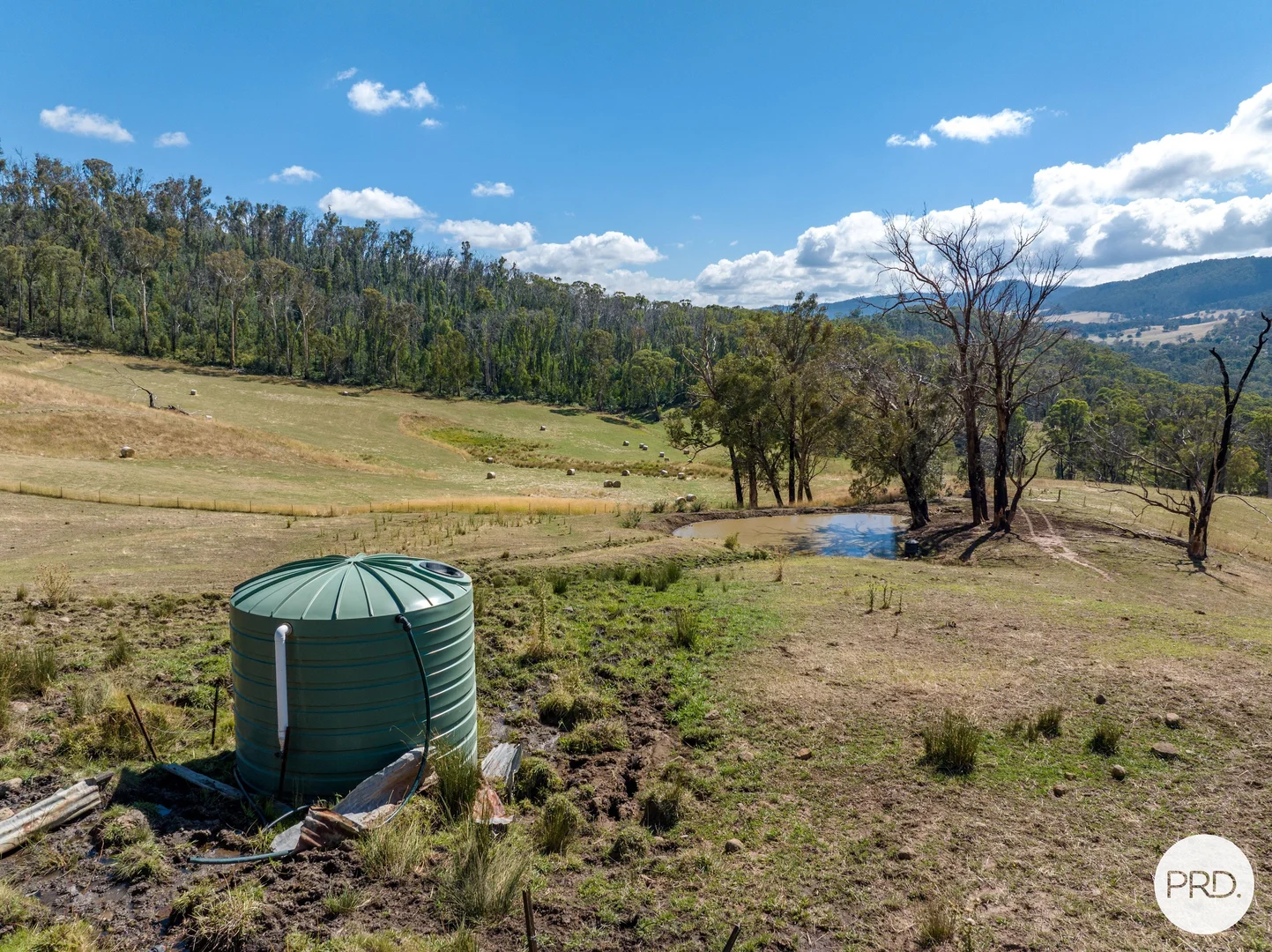 Additional image 50 of 1100 Batlow Road, Tumbarumba NSW 2653