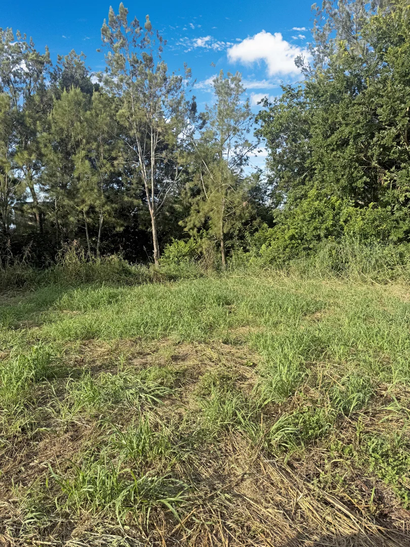 Additional image 5 of Burnett Highway, Goomeri QLD 4601