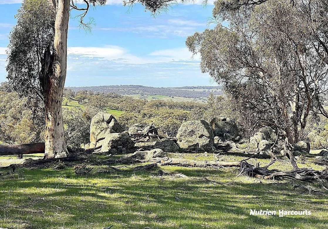Additional image 12 of 967 Northam-Toodyay Road, Katrine WA 6401