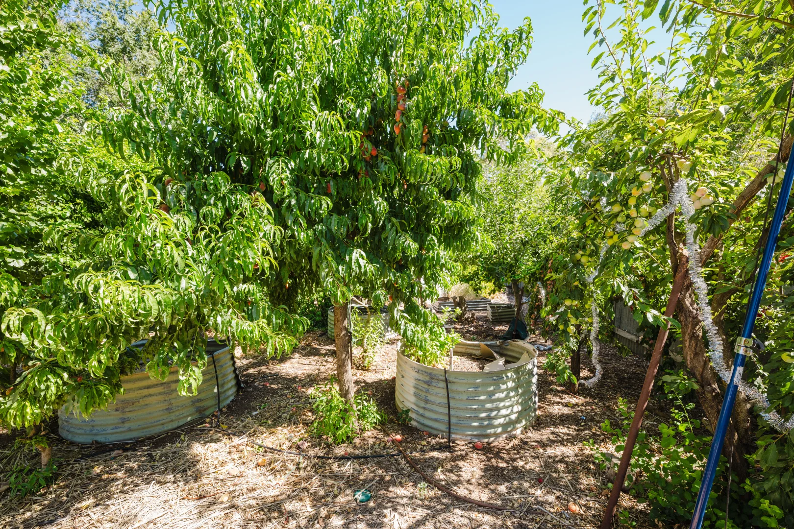 Additional image 21 of 25 East Tce, Booborowie SA 5417