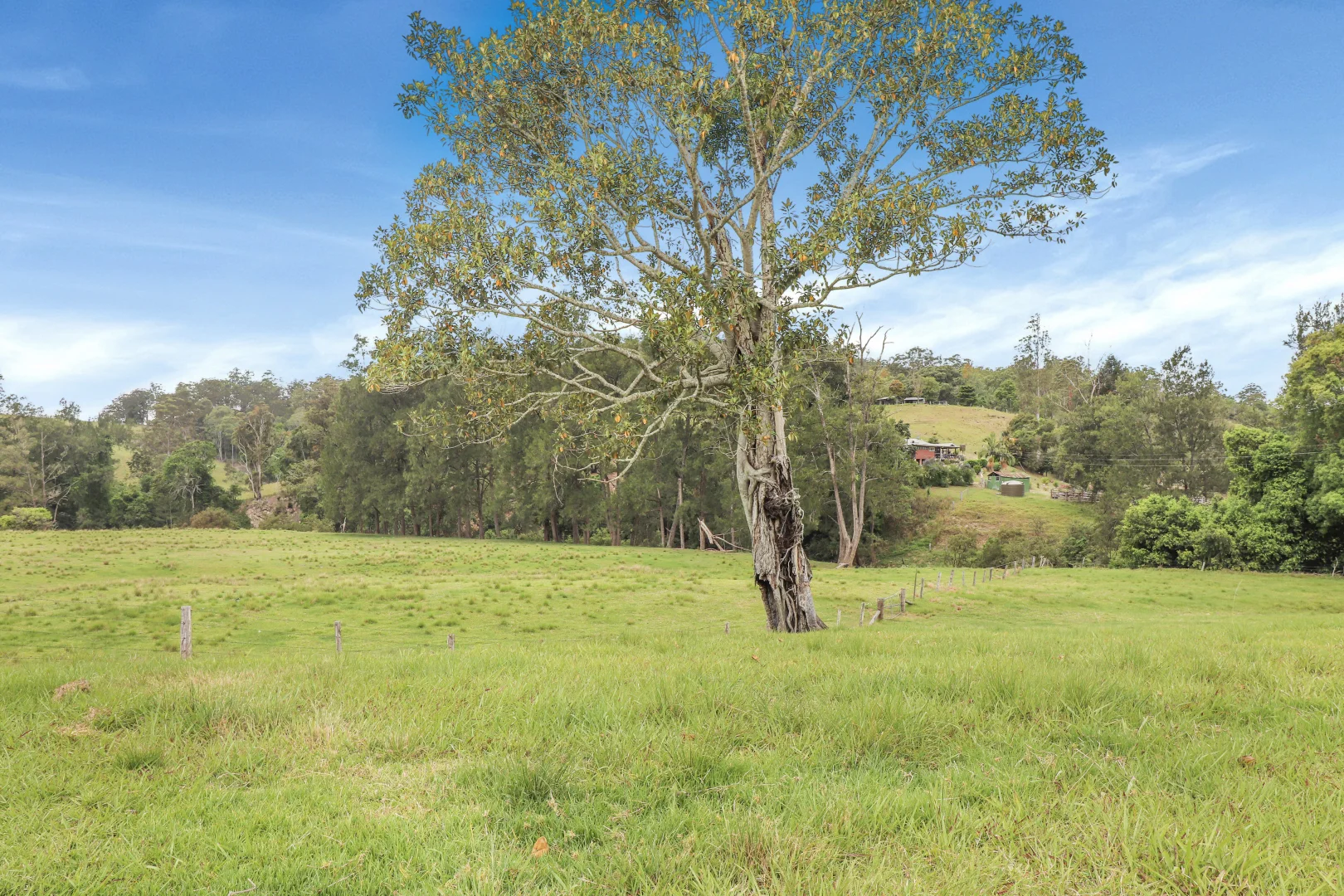 Additional image 37 of 3914 Taylors Arm Rd, Burrapine NSW 2447