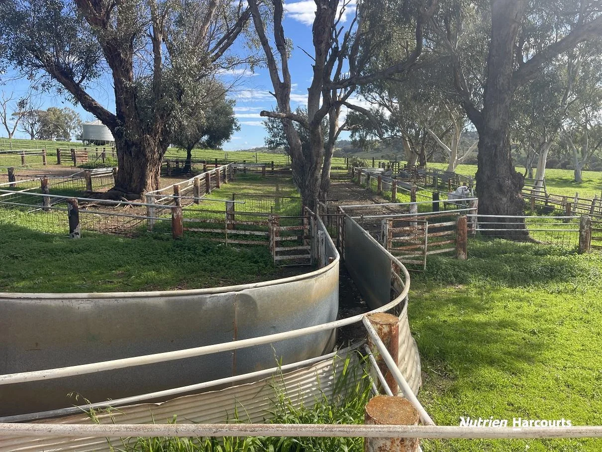 Additional image 21 of 967 Northam-Toodyay Road, Katrine WA 6401