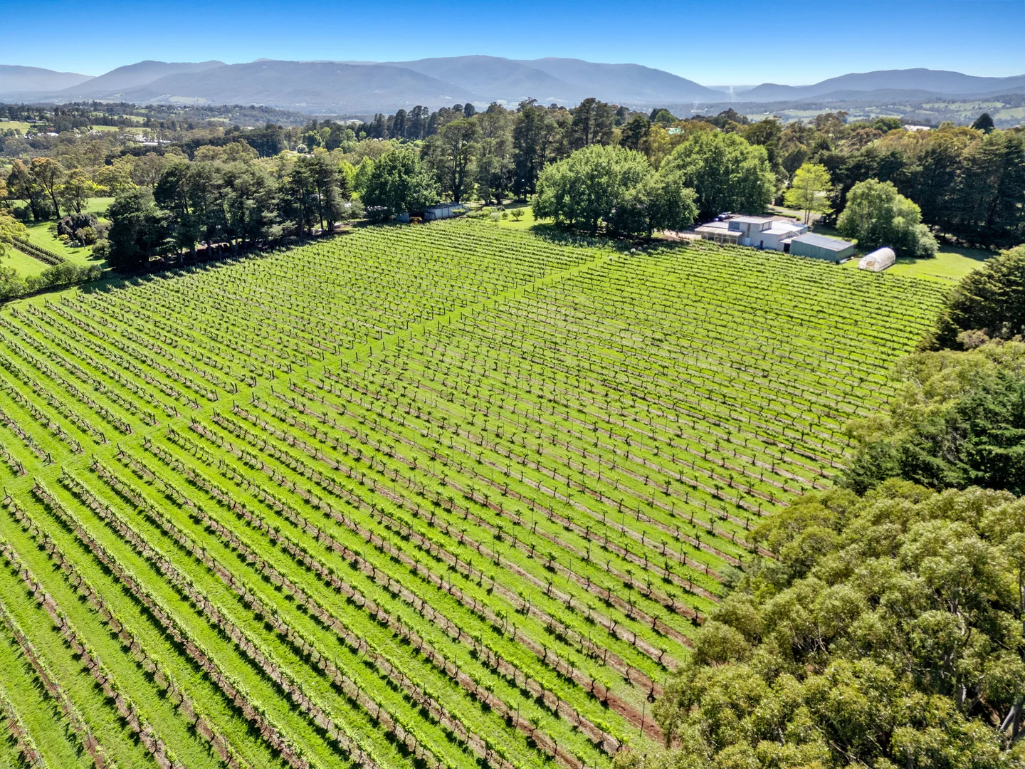 Additional image 4 of 60 Aitken Road, Wandin East VIC 3139