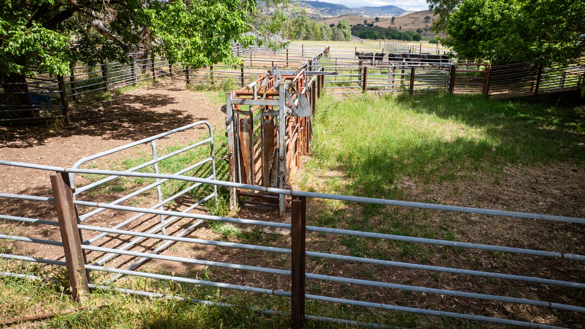 Additional image 12 of 4118 Murray River Road, Thologolong VIC 3691