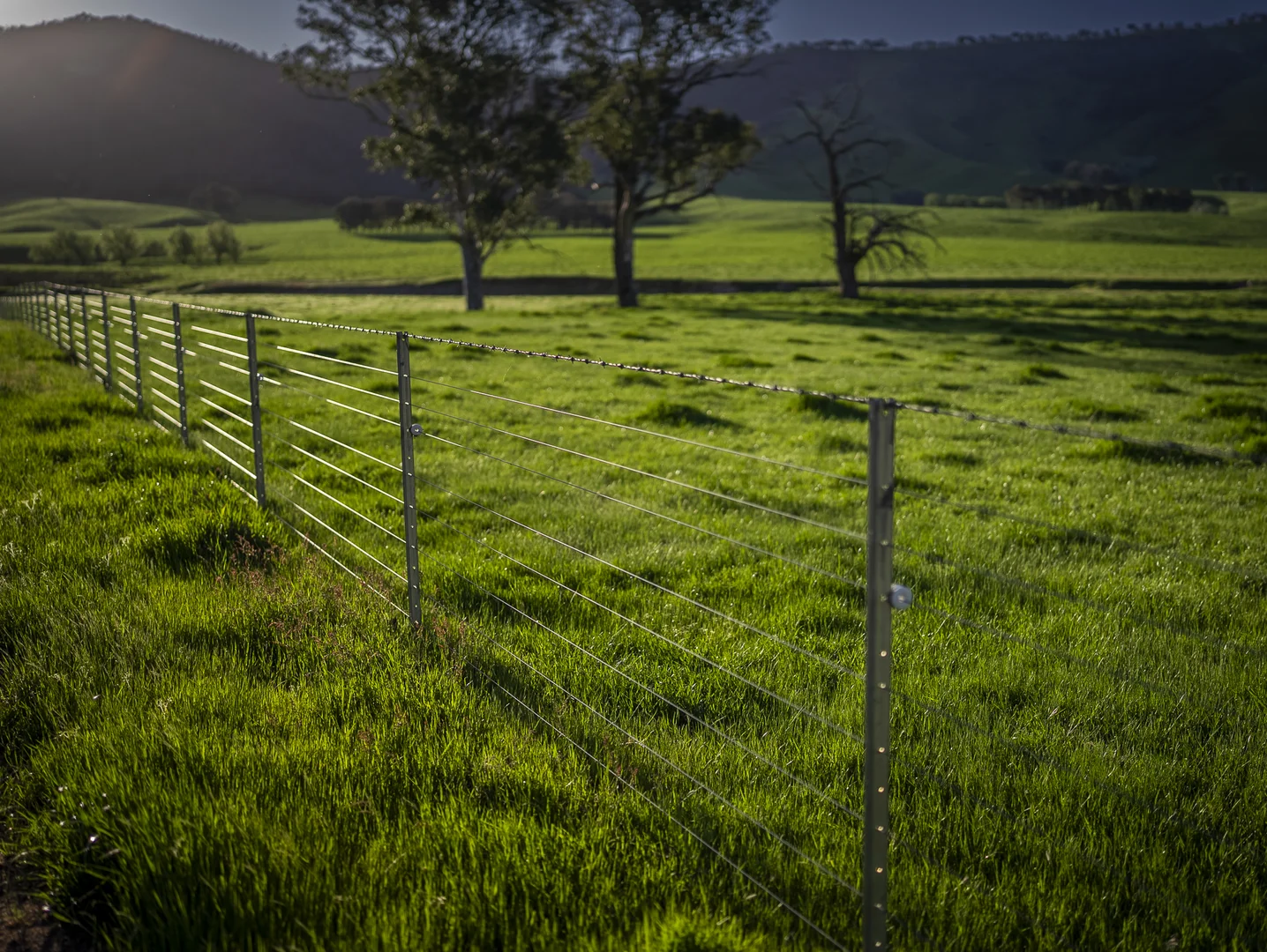 Additional image 17 of 3091 Shelley Road, Walwa VIC 3709