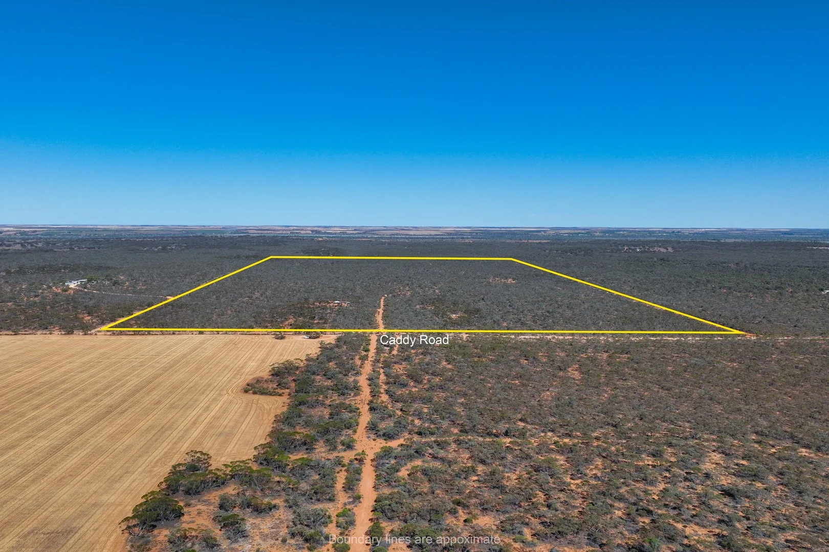 652 Caddy Road, Loveday SA 5345