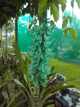 Additional image 25 of Moolboolaman QLD 4671