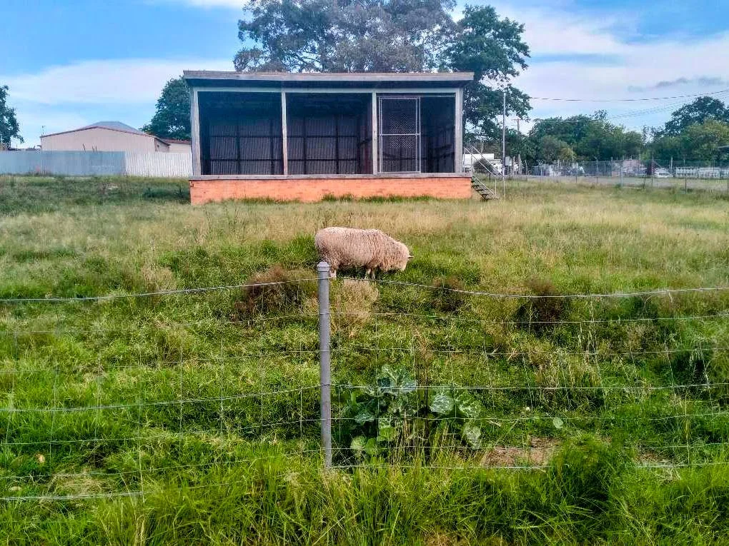 Additional image 3 of 35 Scott Street, Tenterfield NSW 2372