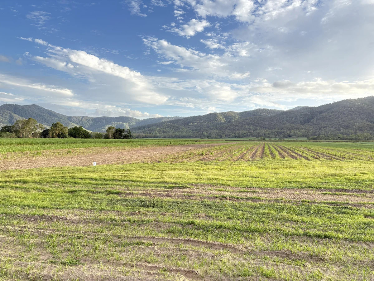 Additional image 7 of 2 Sievers Road, Oakenden QLD 4741