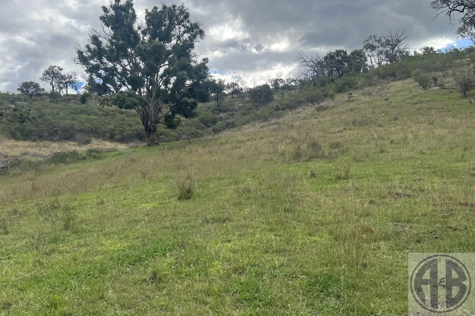 Additional image 25 of Kingstown NSW 2358