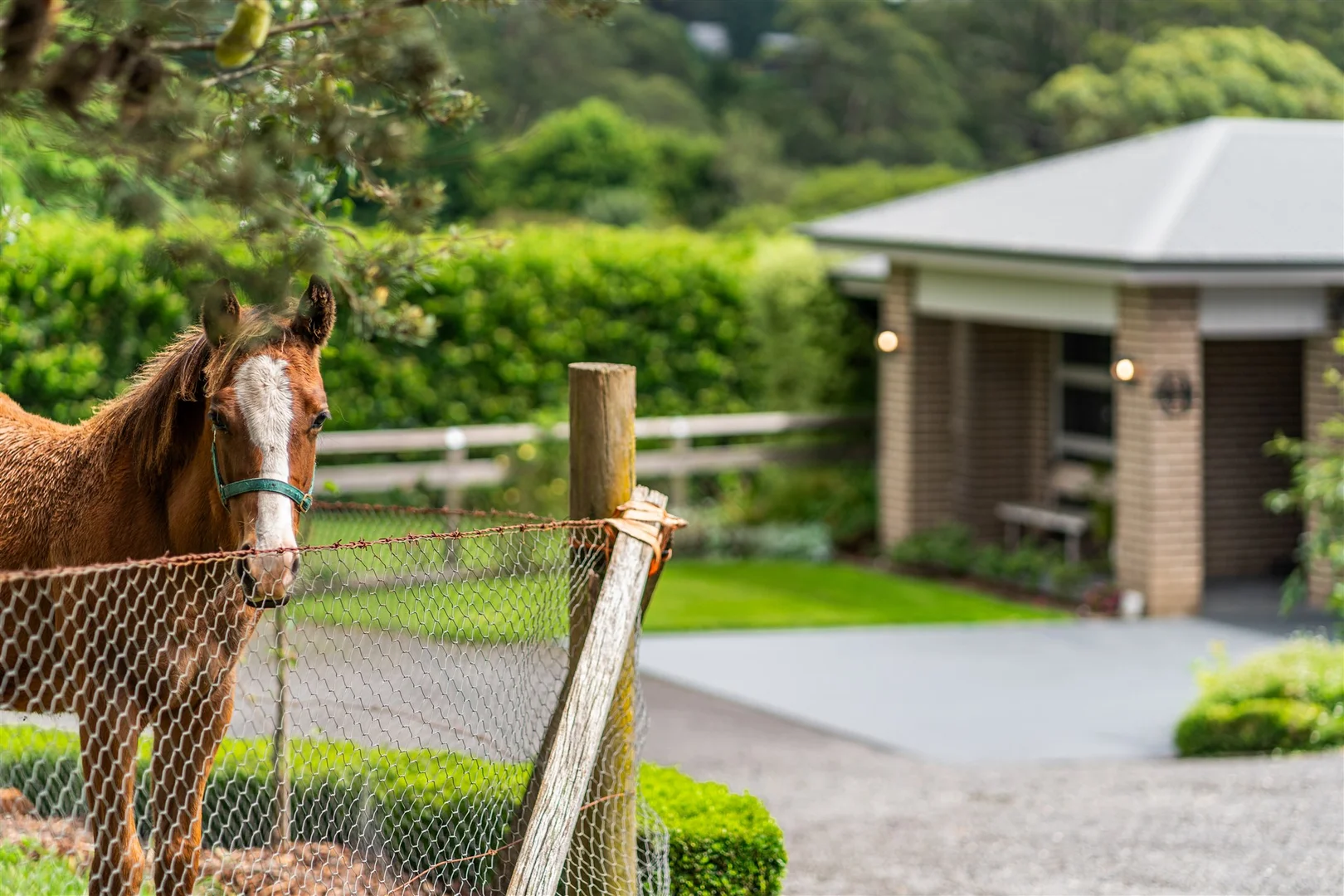 Additional image 13 of 54A North Street, Robertson NSW 2577