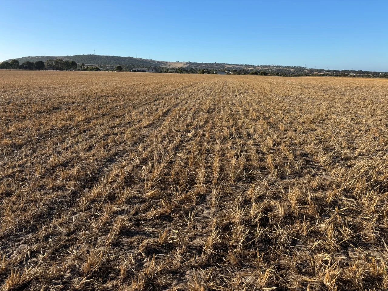 Additional image 29 of 7 Hidden Valley Lane, Boston SA 5607