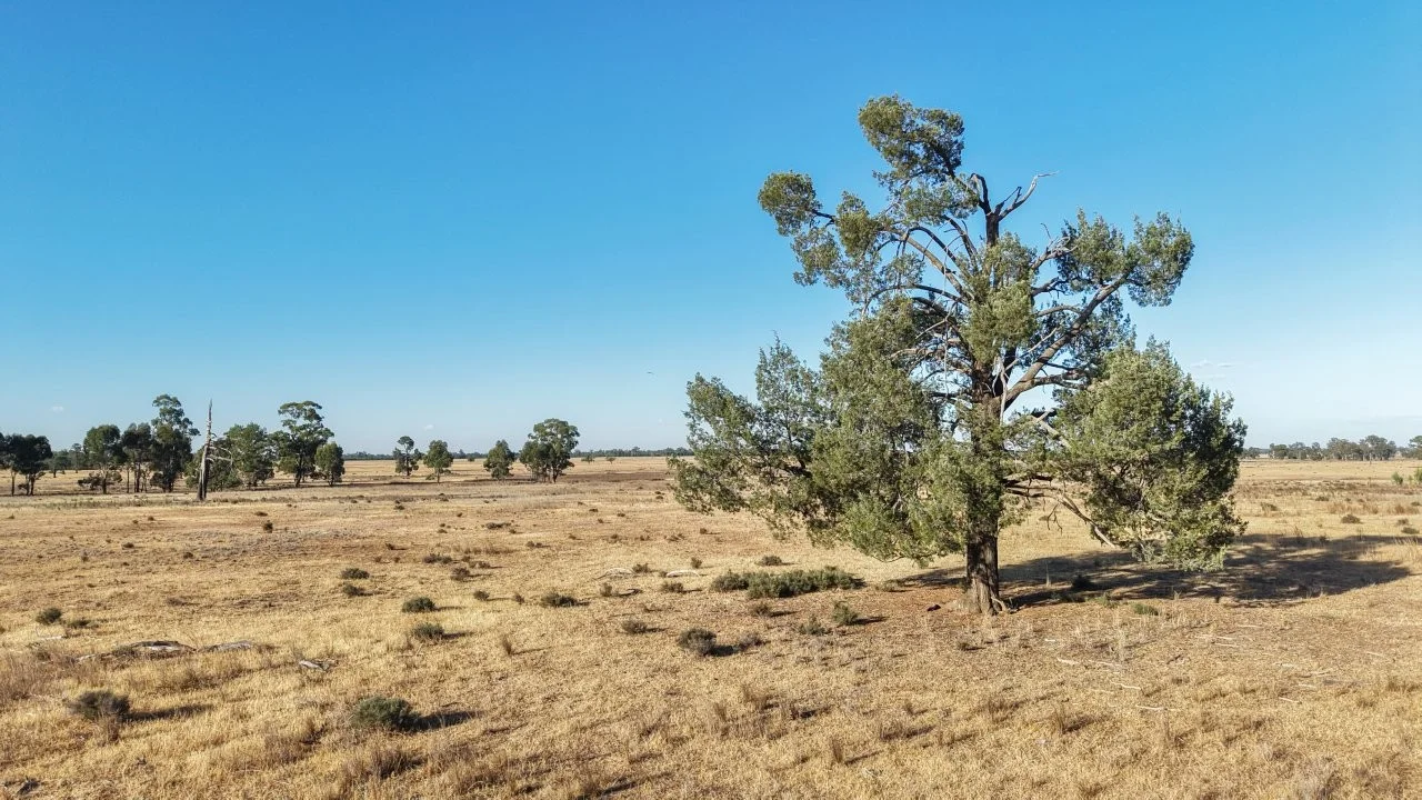 Additional image 11 of 2633 Bruie Plains Road, Bruie Plains NSW 2875