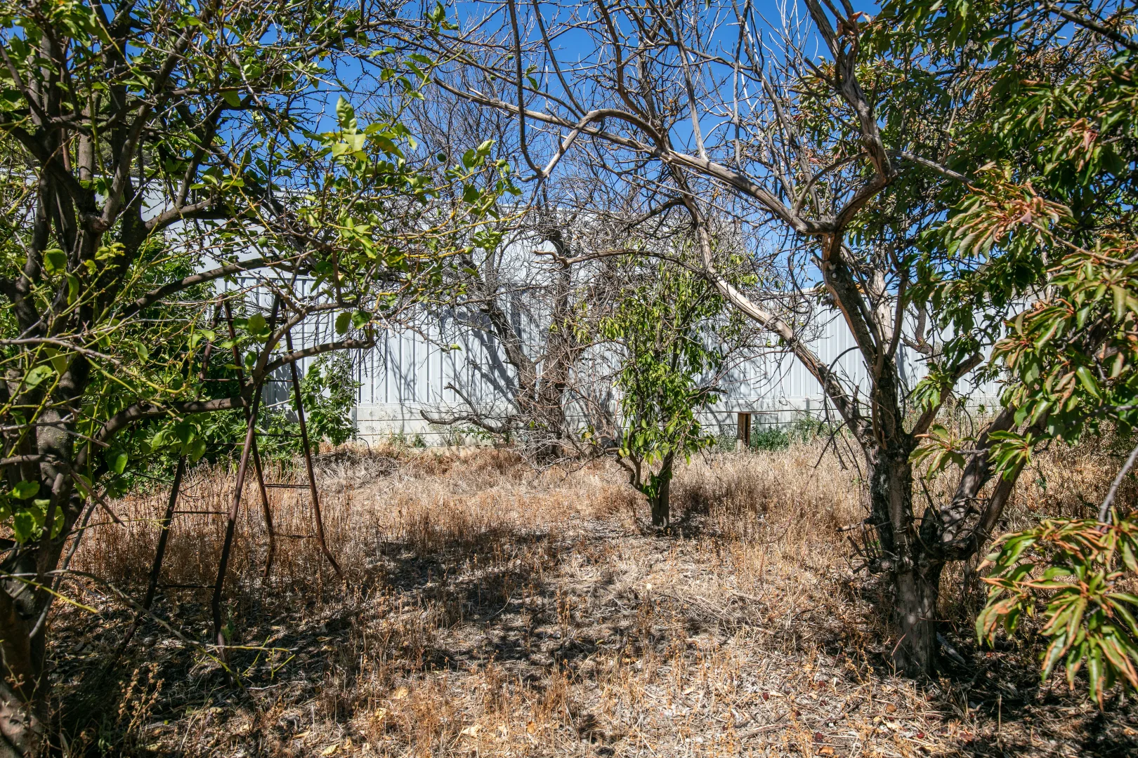 Additional image 18 of 8 Weigall Avenue, Murray Bridge SA 5253