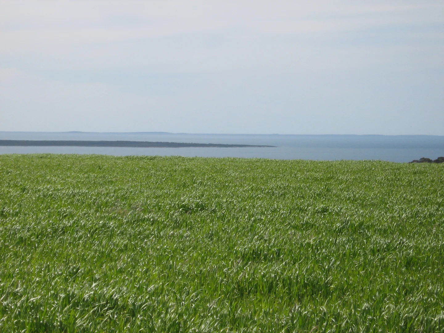 Additional image 6 of 7 Hidden Valley Lane, Boston SA 5607