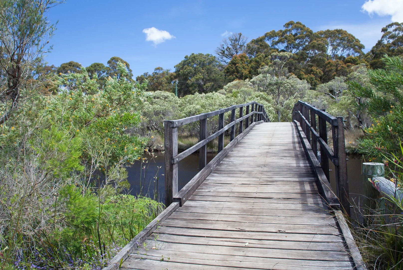 Additional image 40 of 63 karri street, Walpole WA 6398