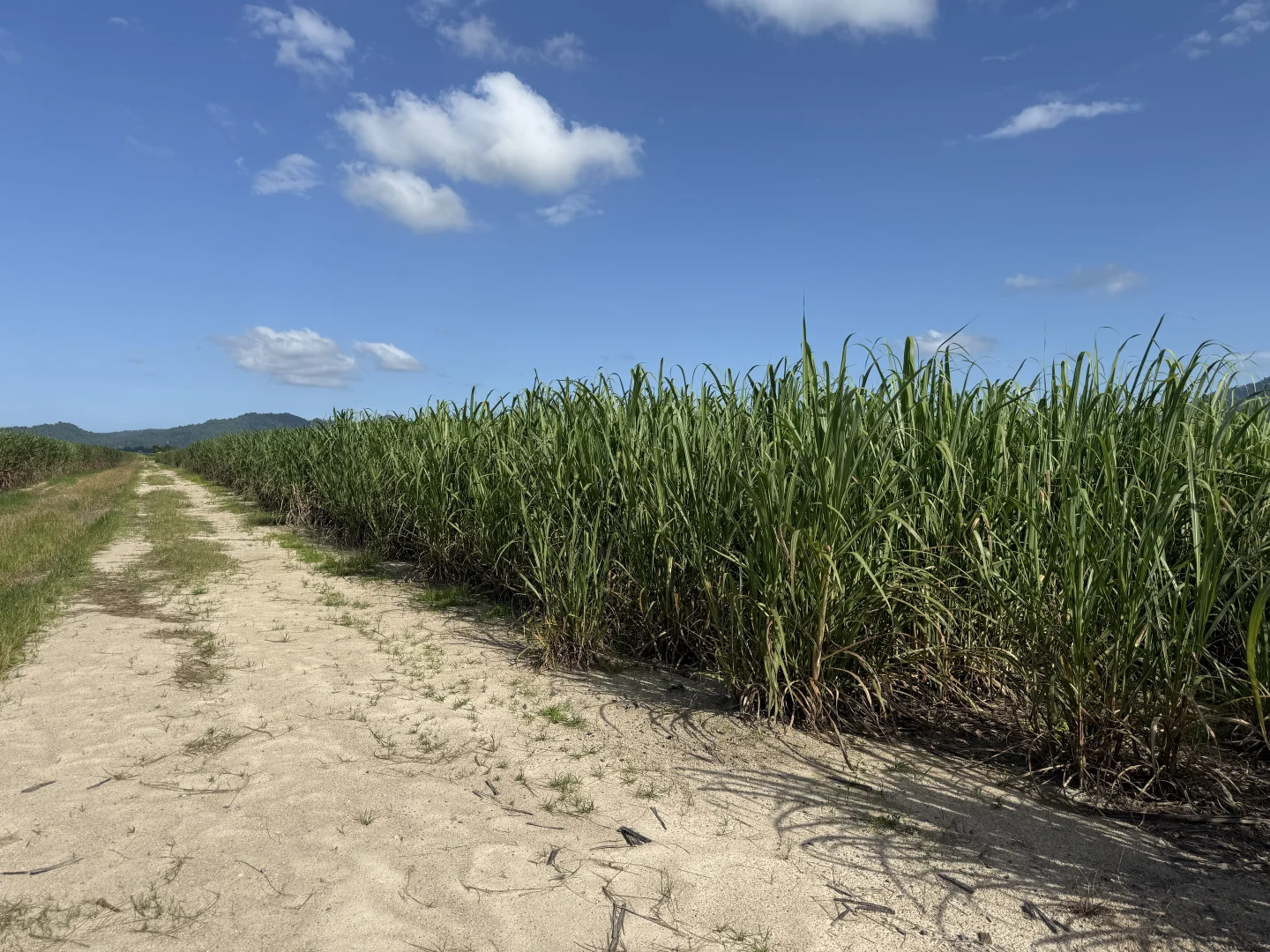 Additional image 11 of Midgenoo QLD 4854