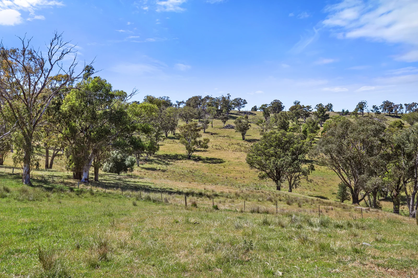 Additional image 29 of "Arawa" 2388 Campfire Road, Walcha NSW 2354