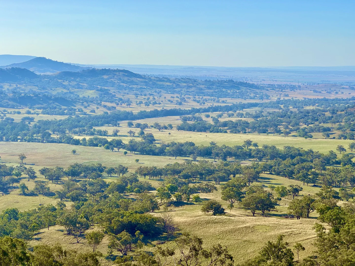 Additional image 31 of "Bindi" 1229 Bundella Creek Road Bundella Via, Quirindi NSW 2343