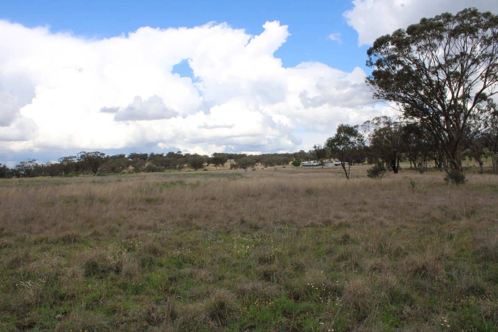 Additional image 25 of Lot 2 Burtenshaws Road, Inverell NSW 2360
