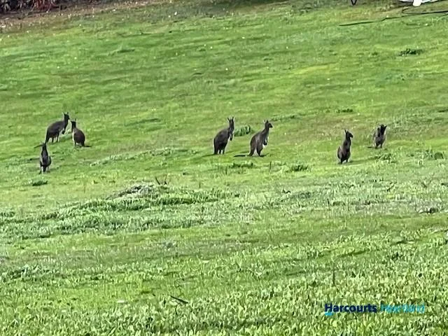 Additional image 21 of 46 Buckley Road, Carlotta WA 6275