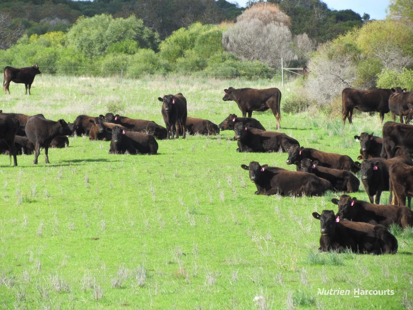 Additional image 11 of 40 Matsen Road, Dongara WA 6525