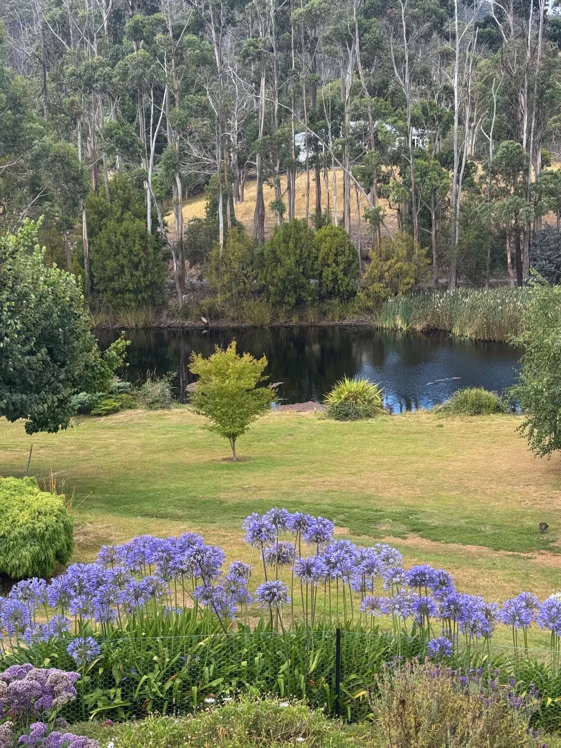 Additional image 3 of 5c Glovers Road, Deep Bay TAS 7112