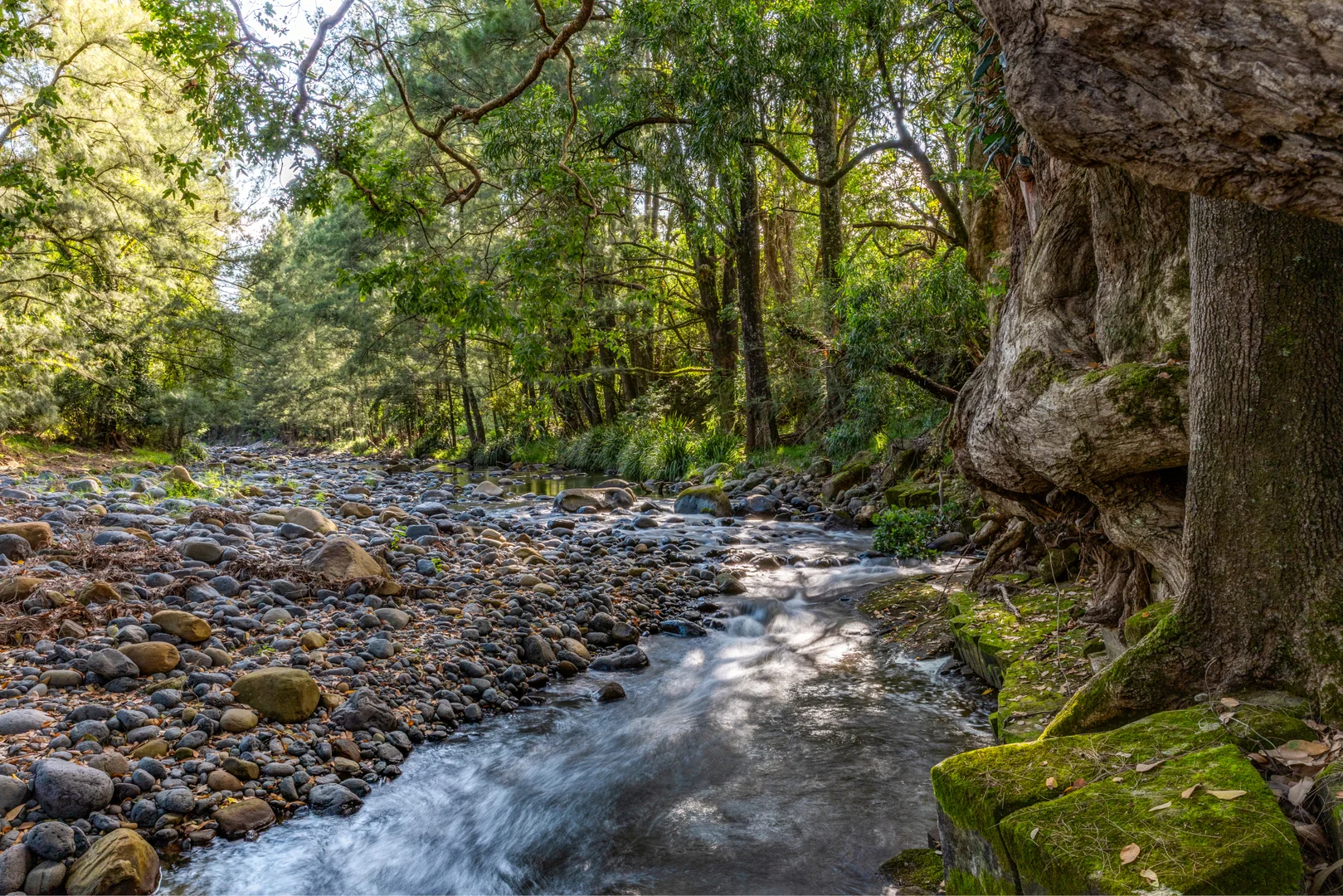 Additional image 22 of 1012 Boonabilla Road, Gresford NSW 2311