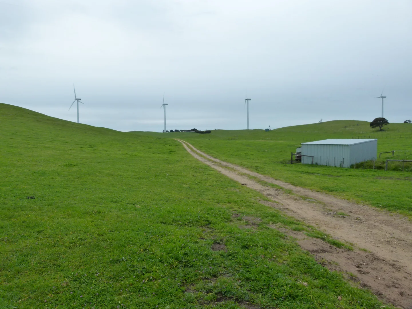 Additional image 10 of 1683 Canunda Frontage Road, Tantanoola SA 5280