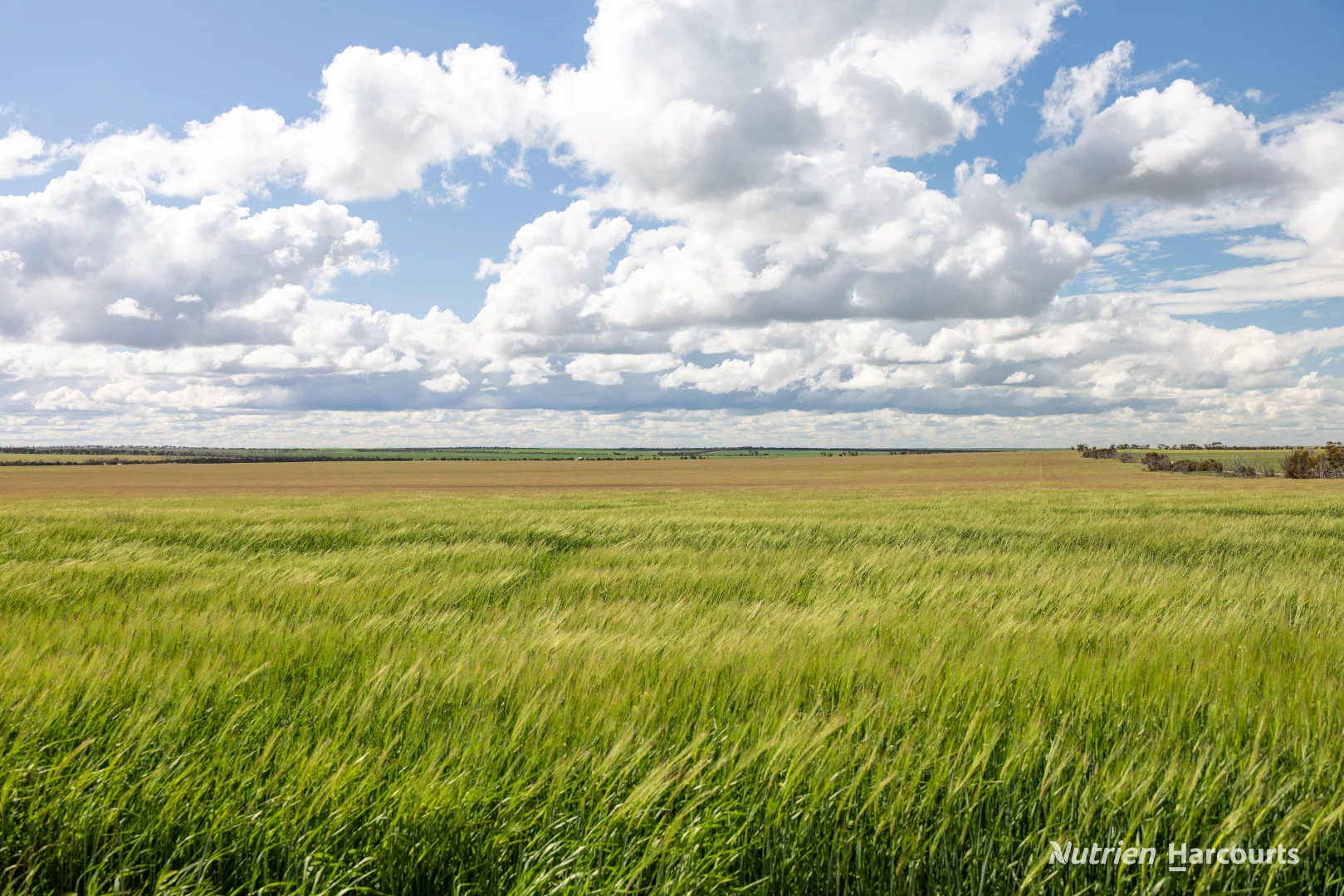 Additional image 14 of . Rollond Road, Cascade WA 6450