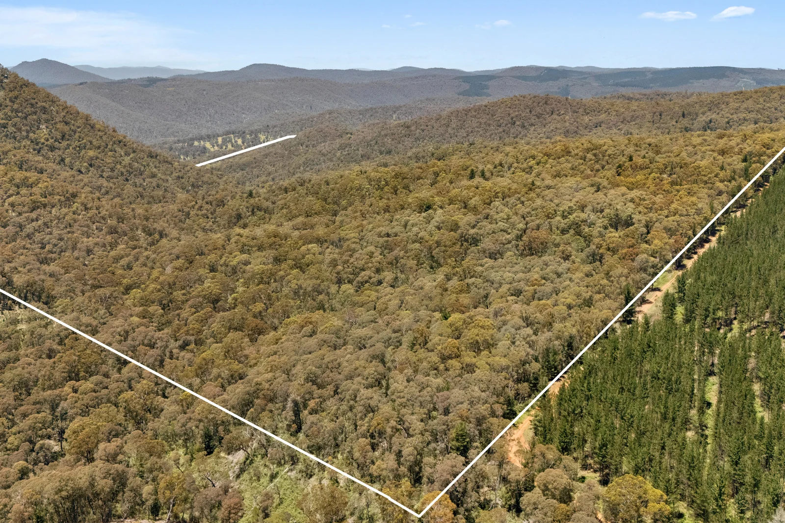 Additional image 27 of 321 Log Bridge Creek Road, Wee Jasper NSW 2582