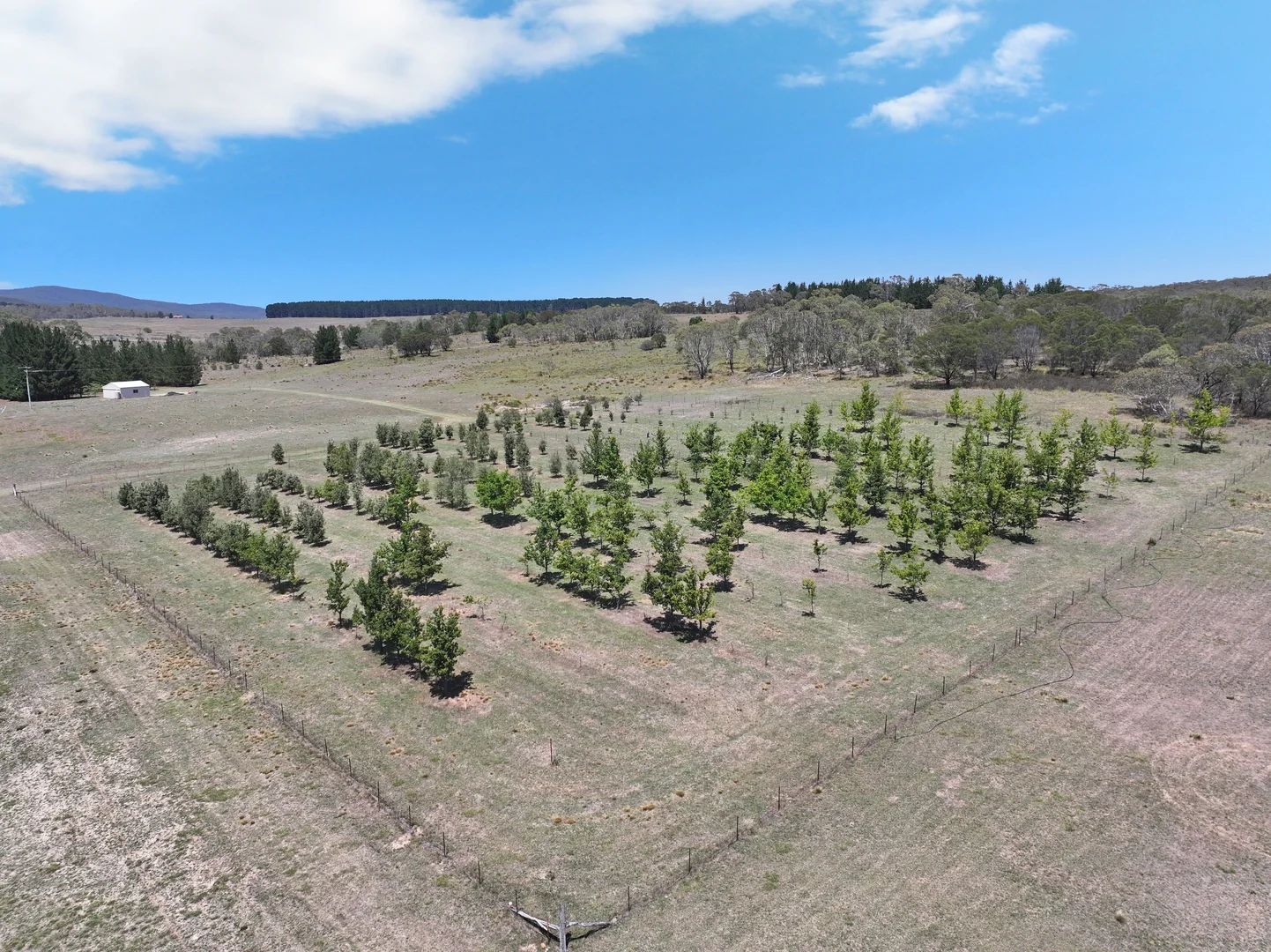 Additional image 6 of 760 Wallaces Gap Road, Braidwood NSW 2622