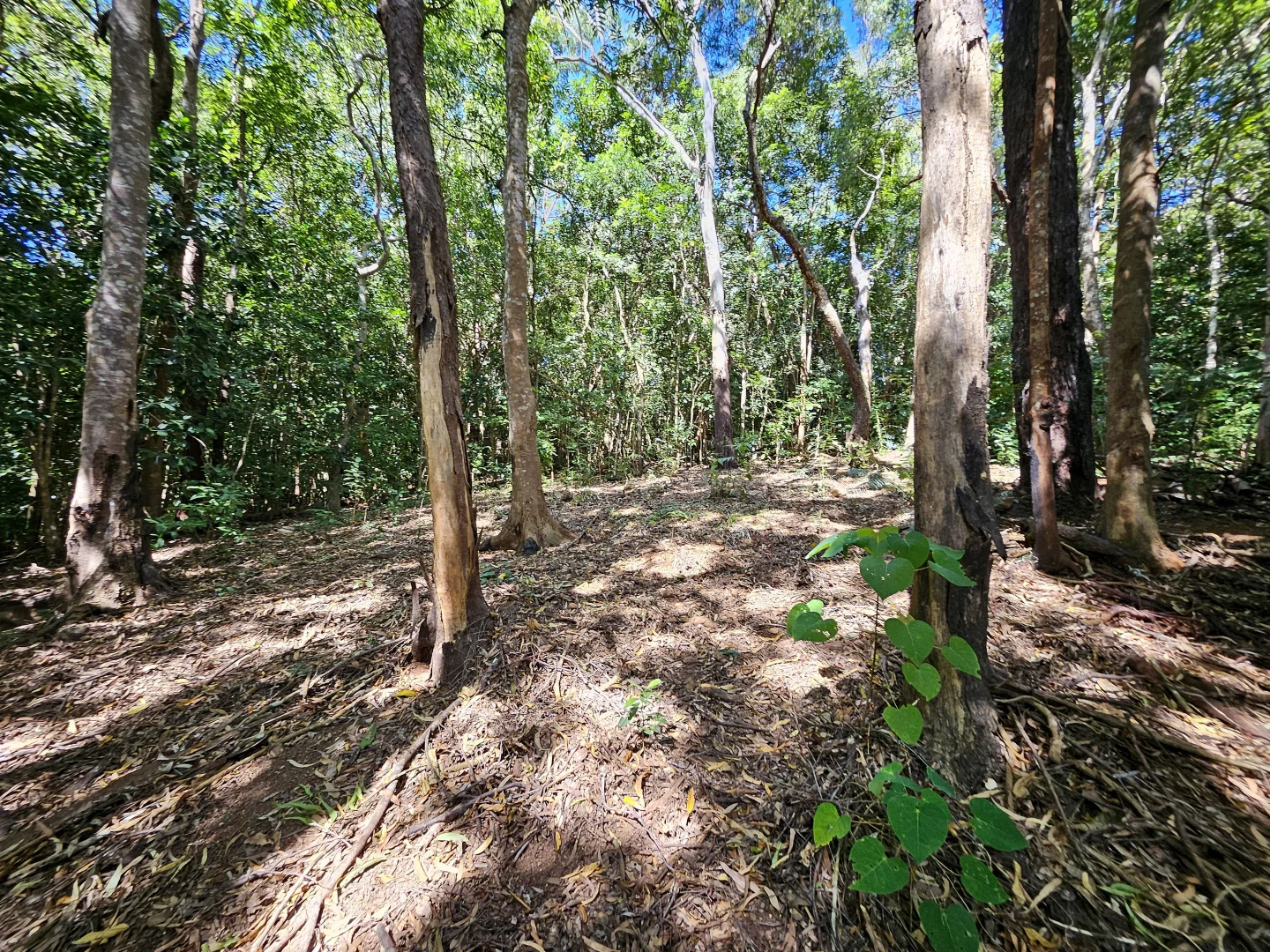 Additional image 25 of 43 Mulligan Highway, Cooktown QLD 4895