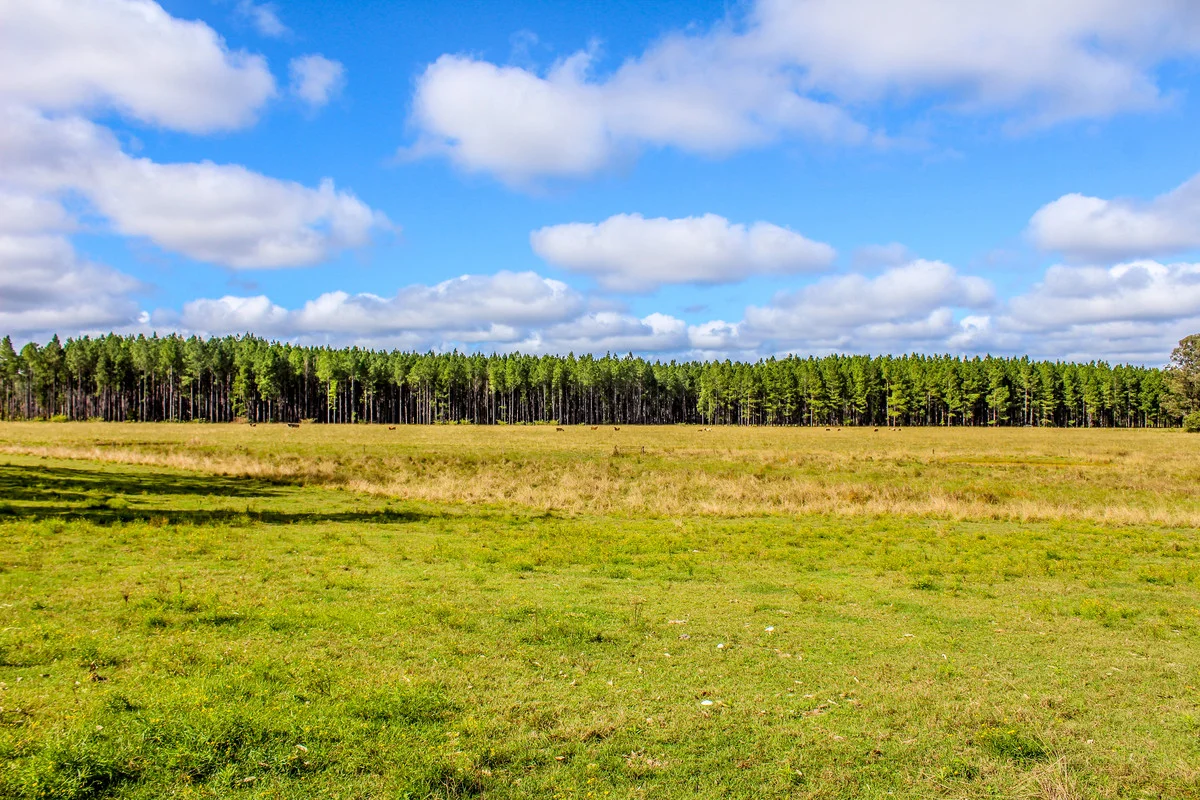 Additional image 23 of 315 Myrtle Creek Road, Myrtle Creek NSW 2469