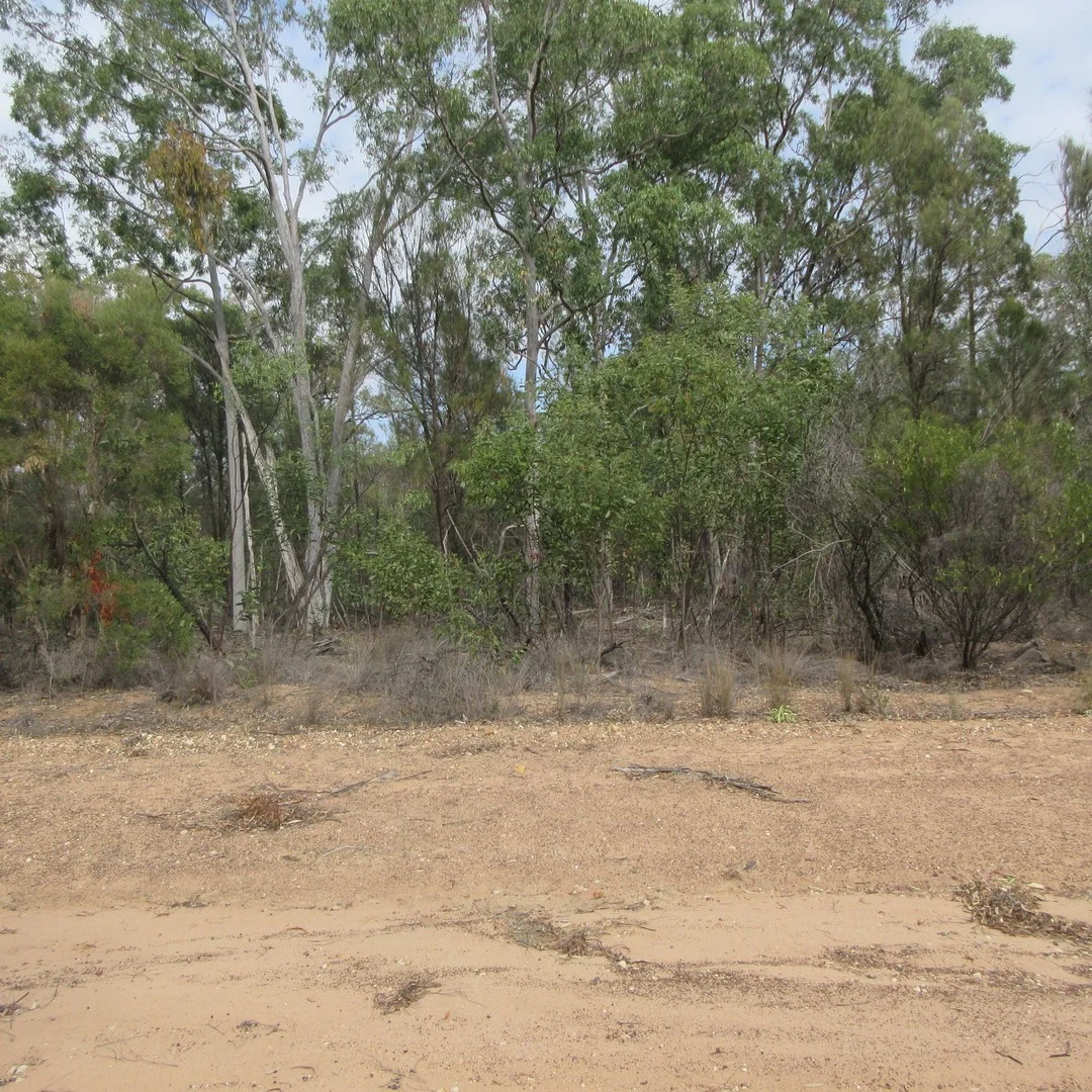 Lot 25 Cnr Vickery and Chappells Road, Tara QLD 4421