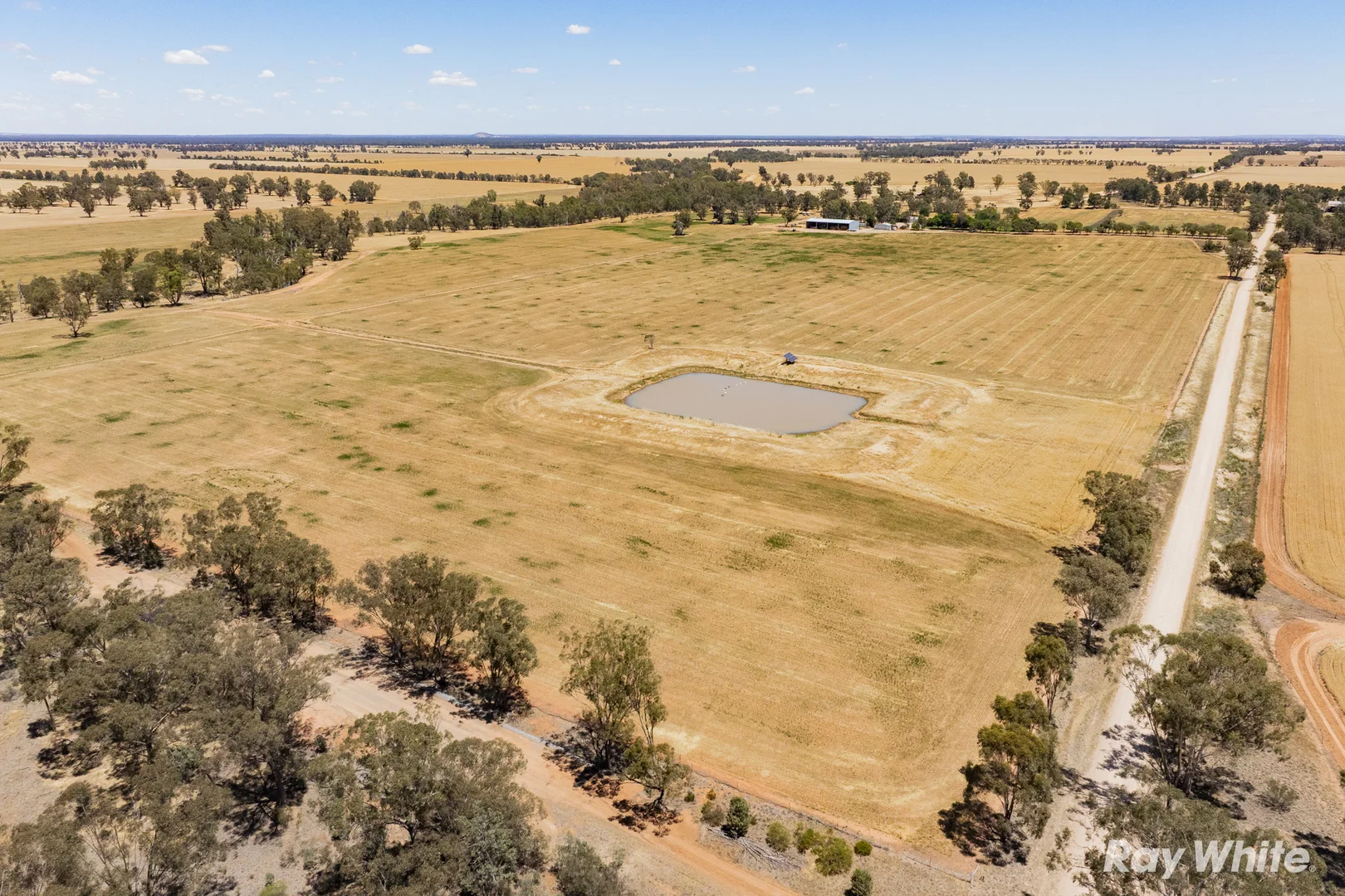 Additional image 8 of 79 Croziers Lane, Ganmain NSW 2702