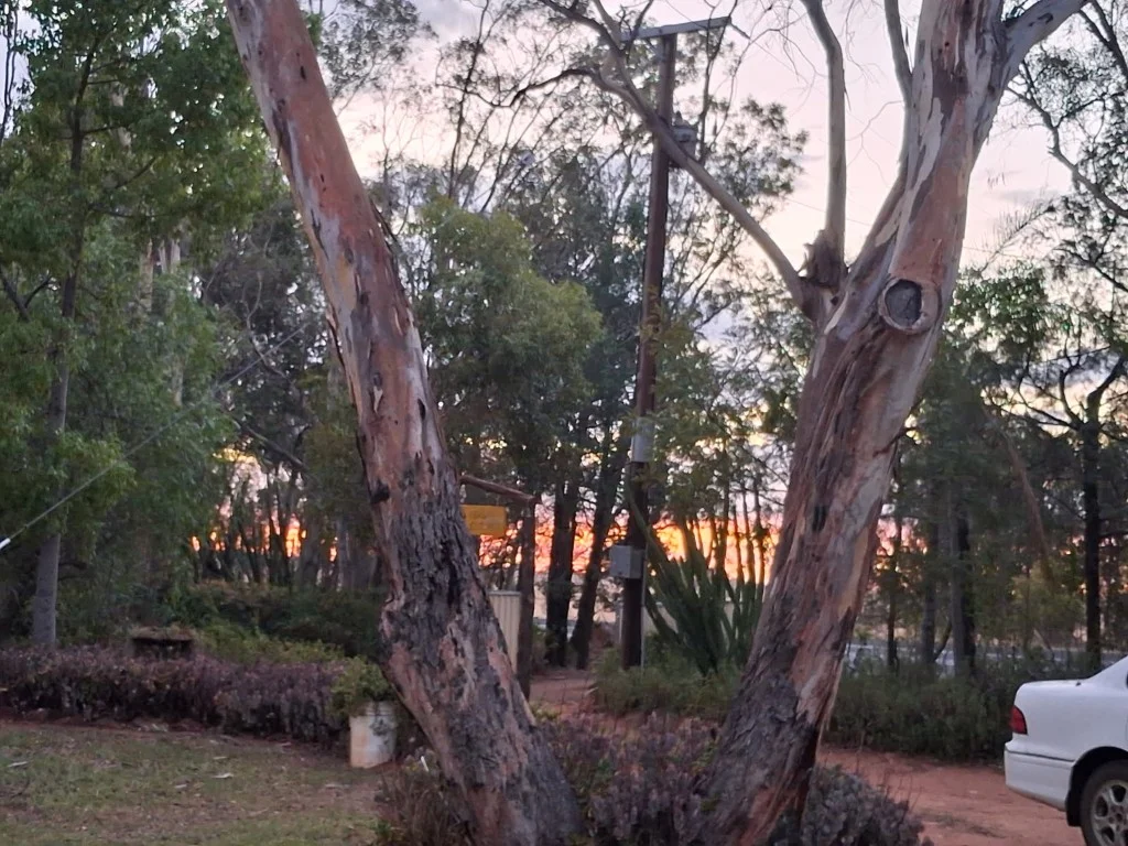 Additional image 38 of 836 Newell Highway, Gilgandra NSW 2827