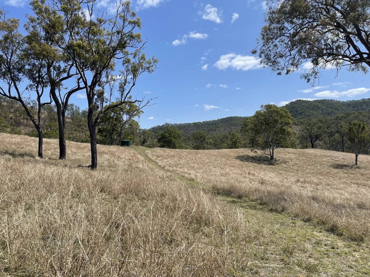 Additional image 17 of 4900 Tableland Road, Tablelands QLD 4680
