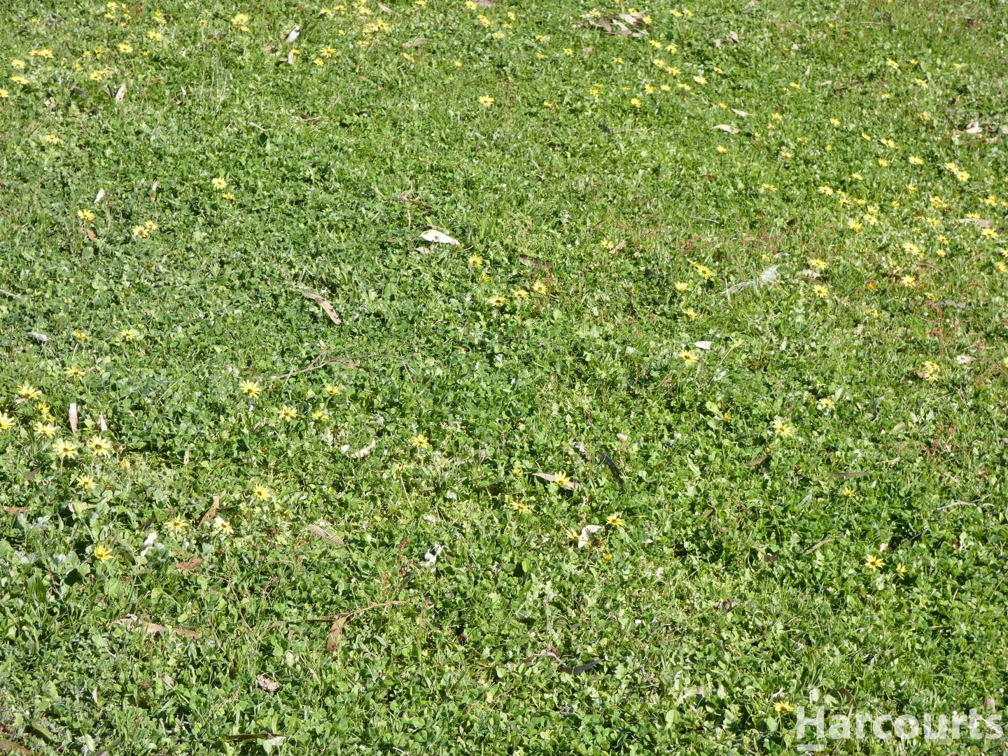 Additional image 11 of . Red Rock Road, Glenisla VIC 3314