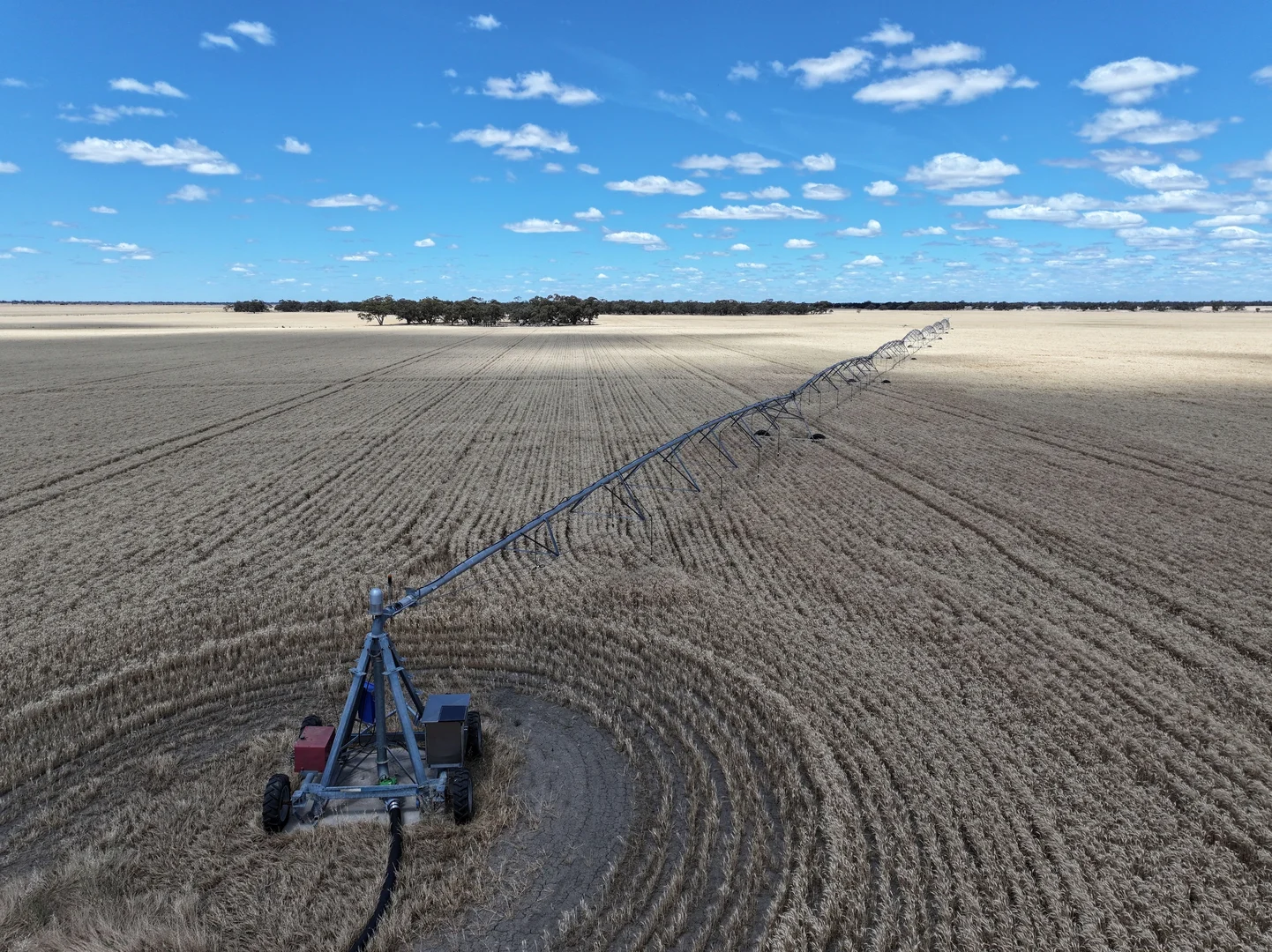 Additional image 18 of 300 Devon Road, Deniliquin NSW 2710